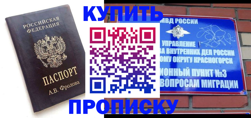 прописка поиск в Ковдоре